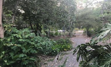 Casa en Renta en el centro de Comala