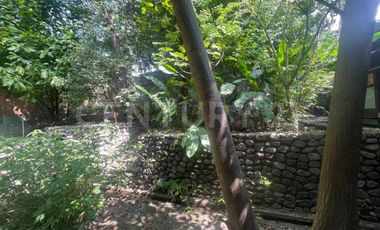 Casa en Renta en el centro de Comala