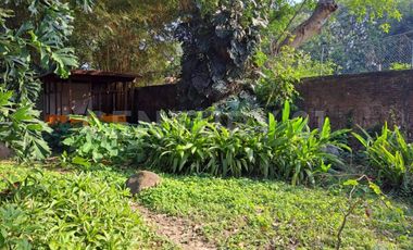 Casa en Renta en el centro de Comala