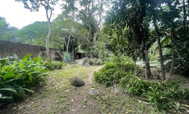 Casa en Renta en el centro de Comala