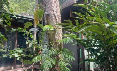 Casa en Renta en el centro de Comala