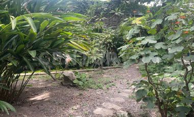 Casa en Renta en el centro de Comala