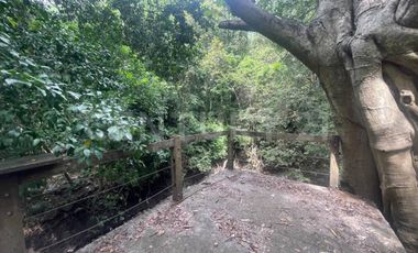 Casa en Renta en el centro de Comala
