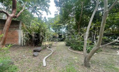 Casa en Renta en el centro de Comala