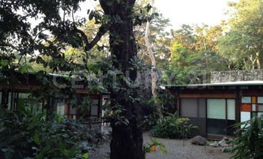 Casa en Renta en el centro de Comala