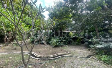 Casa en Renta en el centro de Comala
