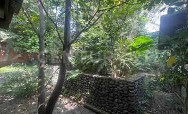 Casa en Renta en el centro de Comala