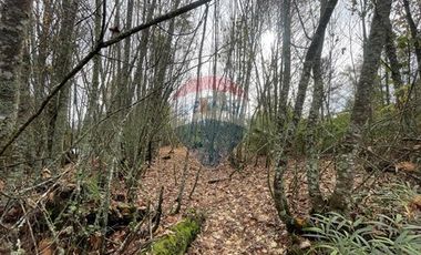 Parcela 5000 mt2  con acceso a Río