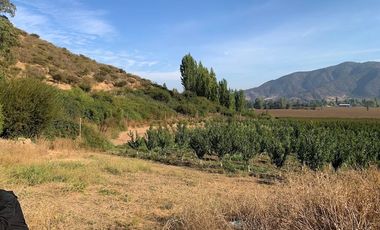 PARCELA CON CASA Y ÁRBOLES FRUTALES 6,63 has