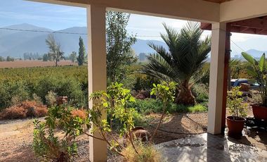 PARCELA CON CASA Y ÁRBOLES FRUTALES 6,63 has