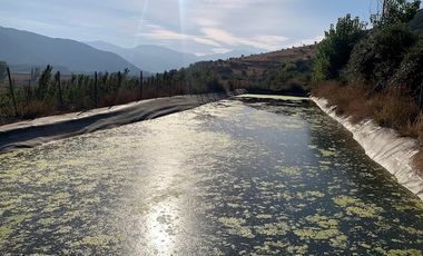 PARCELA CON CASA Y ÁRBOLES FRUTALES 6,63 has