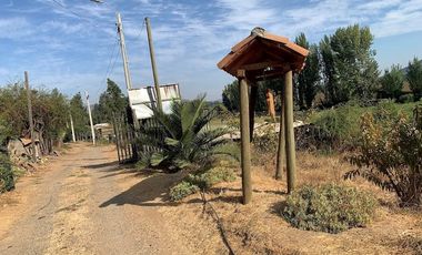 PARCELA CON CASA Y ÁRBOLES FRUTALES 6,63 has