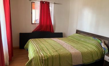 PARCELA CON CASA Y ÁRBOLES FRUTALES 6,63 has