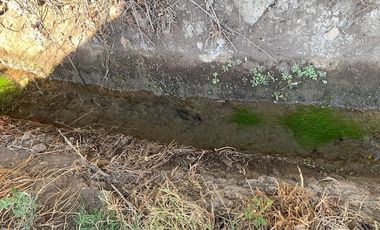 PARCELA CON CASA Y ÁRBOLES FRUTALES 6,63 has