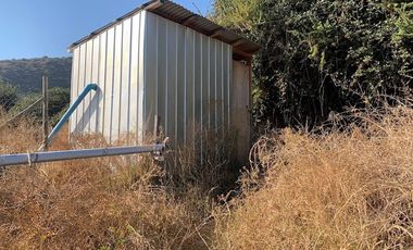 PARCELA CON CASA Y ÁRBOLES FRUTALES 6,63 has