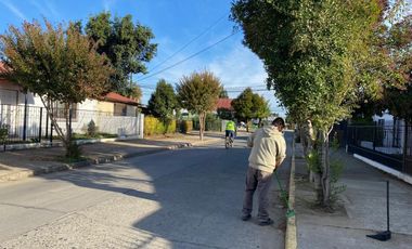SAN MARTIN 057