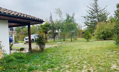 SECTOR PALMILLA