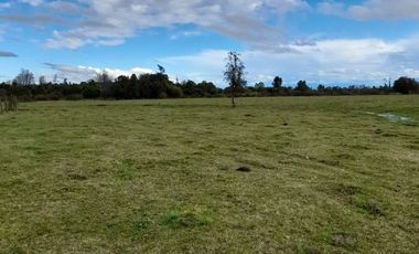 SECTOR PONHUIPA COMUNA DE RÍO BUENO