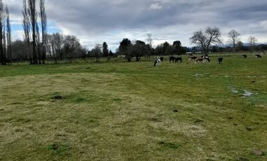 SECTOR PONHUIPA COMUNA DE RÍO BUENO