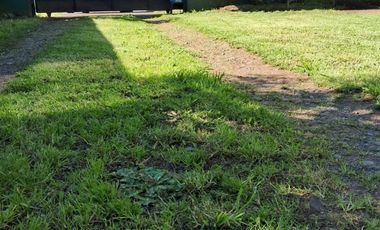 18 DE SEPTIEMBRE RÍO BUENO