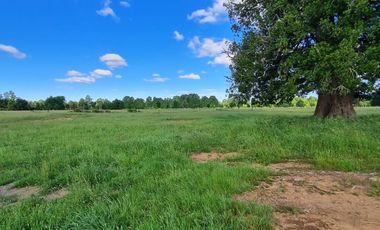 A 15 MINUTOS DE RÍO BUENO