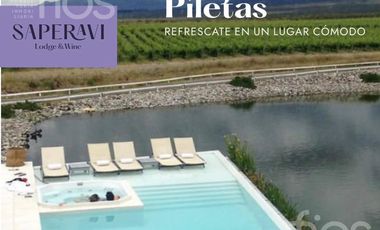 VENTA TINY HOUSE 50 M² UN DORMITORIO MAS TERRAZA EXCLUSIVA EN VALLE DE UCO, MENDOZA