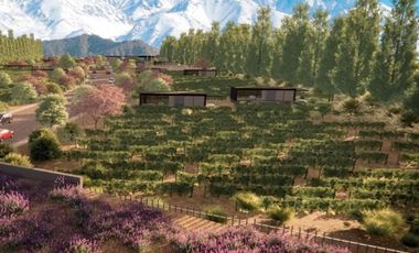 VENTA TINY HOUSE 50 M² UN DORMITORIO MAS TERRAZA EXCLUSIVA EN VALLE DE UCO, MENDOZA