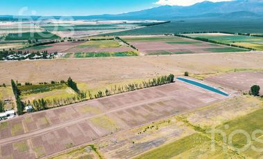 VENTA TINY HOUSE 60 M²  DOS DORMITORIOS MAS TERRAZA EXCLUSIVA EN VALLE DE UCO, MENDOZA