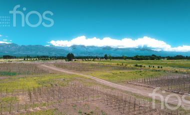 VENTA TINY HOUSE 60 M²  DOS DORMITORIOS MAS TERRAZA EXCLUSIVA EN VALLE DE UCO, MENDOZA