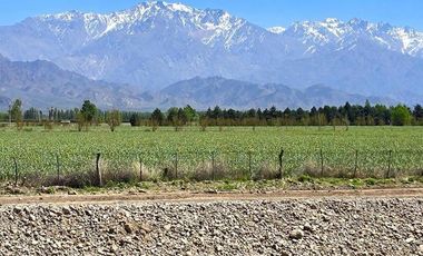VENTA TINY HOUSE 65 M² 2 DORMITORIOS MAS TERRAZA EXCLUSIVA EN VALLE DE UCO, MENDOZA