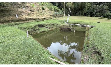 VENTA DE FINCA EN CALARC, QUINDO, COLOMBIA