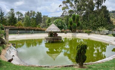 Espectacular Casa en el Poblado