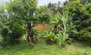 CASA CAMPESTRE EN VENTA - TABLONES - PALMIRA - REF: 9932143