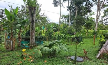 Se Vende Finca en Circasia