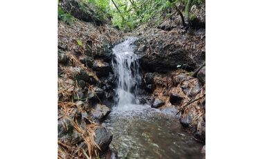 Se Vende Finca en Circasia