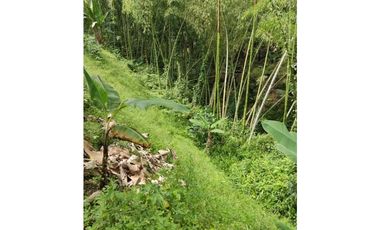 Se Vende Finca en Circasia