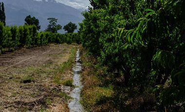 Finca en  Venta en Tunuyán