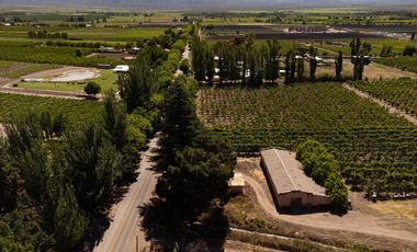 Finca en  Venta en Tunuyán
