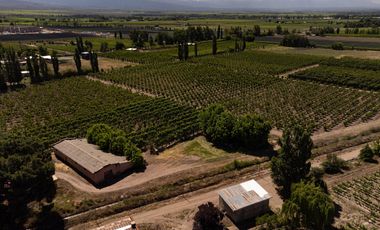 Finca en  Venta en Tunuyán