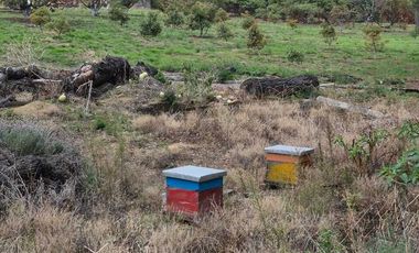 SE VENDE TERRENO EN NEPANTLA, ESTADO DE MÉXICO.