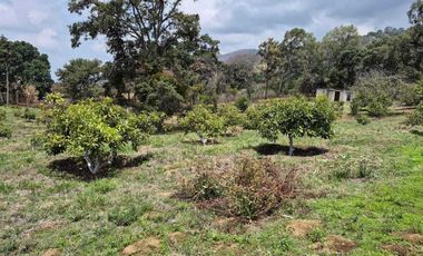 SE VENDE TERRENO EN NEPANTLA, ESTADO DE MÉXICO.