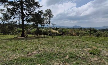 SE VENDE TERRENO EN NEPANTLA, ESTADO DE MÉXICO.