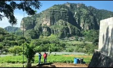 Terreno en Venta San José de los Laureles Tlayacapan, Morelos.