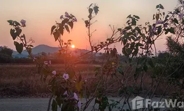 2 Bedroom House for sale in Nong Pling, Nakhon Sawan