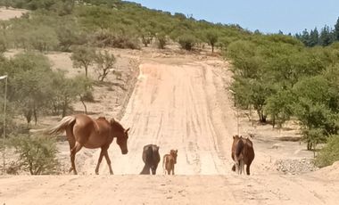 PARCELAS EN VENTA A 5 MINUTOS DEL LAGO RAPEL CRÉDITO DIRECTO
