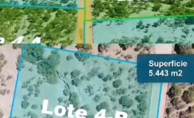 PARCELAS EN VENTA A 5 MINUTOS DEL LAGO RAPEL CRÉDITO DIRECTO