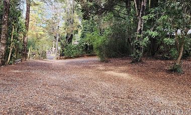 COMPLEJO TURISTICO DE CABAÑAS PLAYA BLANCA, CABURGUA