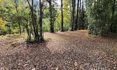 COMPLEJO TURISTICO DE CABAÑAS PLAYA BLANCA, CABURGUA