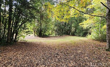 COMPLEJO TURISTICO DE CABAÑAS PLAYA BLANCA, CABURGUA