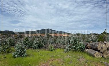 Parcela en venta  en FLORIDA